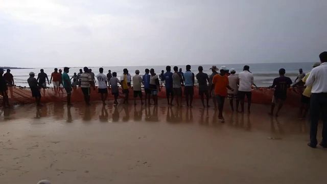 #Konkan # Rapan # Konkanatli Masemari # Chivla Beach смотреть онлайн