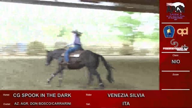 NRHA APCR SPRING SHOW 2023 - VENEZIA SILVIA & CG SPOOK IN THE DARK score 69,5 смотреть онлайн