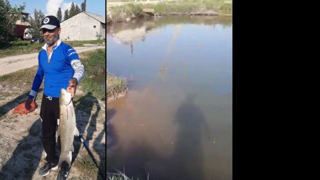 Рыболовный товар на душанбе срочно приезжайте с и наслаждайтесь смотреть онлайн