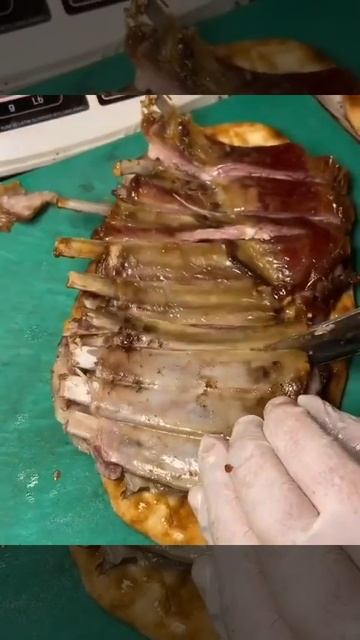 Fat Juicy Lamb Ribs/жирные сочные бараньи ребрышки