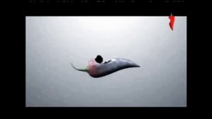 Эволюция всех рекламных заставок телеканала «Перец» (с 15 мая по 12 ноября 2015 года)