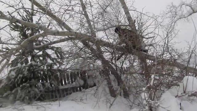 Операция хворост.Послесловие.