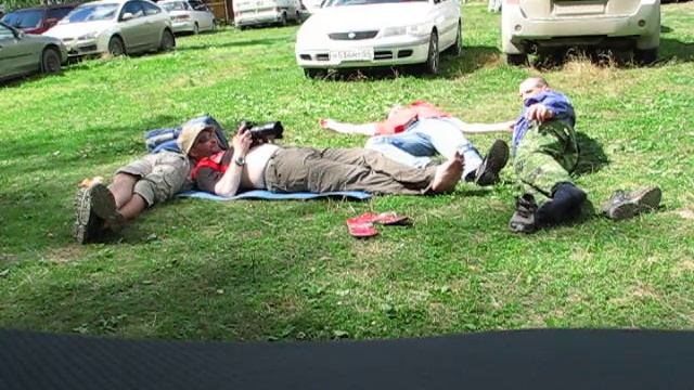 лежбище морских котиков