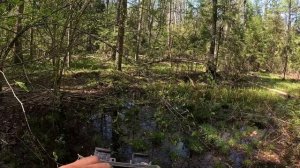 Я ДО СИХ ПОР НЕ МОГУ ПОВЕРИТЬ! В ЛЕСУ НАШЕЛ ГРАНДИОЗНУЮ НАХОДКУ!