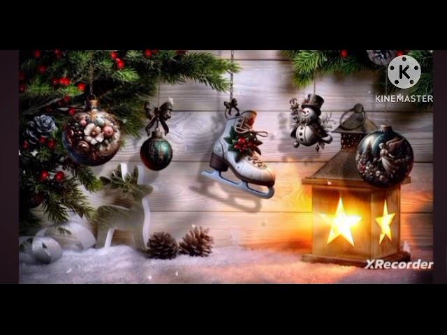 мы родились в сибири//потомственный грумер//обзор канала смотреть онлайн