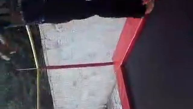 нивки витек кароль батута