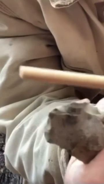 Primitive Maple Tree Tap смотреть онлайн