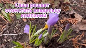 Постучись в мою дверь в Москве 1 60 серия онлайн СМОТРИ КОММЕНТЫ