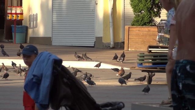 Геленджик 04.08.18 (5)