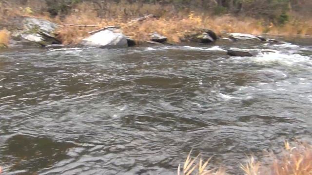 32 серия Таежная Изба Тайга река Сухой пит Рыбалка смотреть онлайн