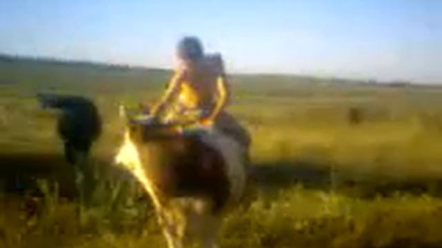 Деревенские пастухи! смотреть онлайн