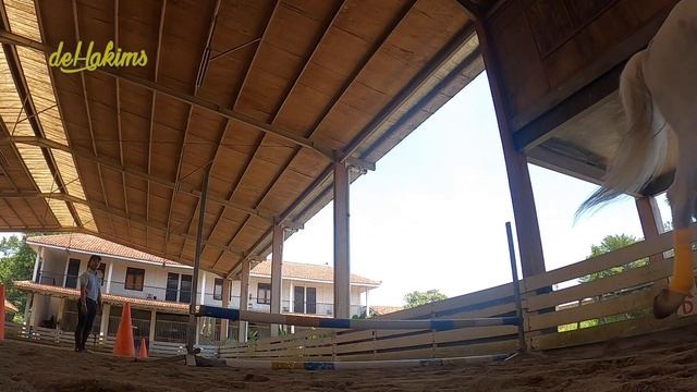 PULANG BERKUDA, KAGET LIAT TUMPUKAN PETI MATI