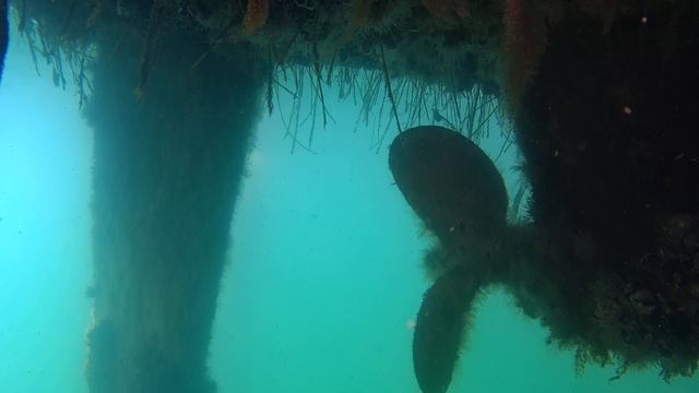 Inspection of sailboat, Gladius mini underwater drone. смотреть онлайн