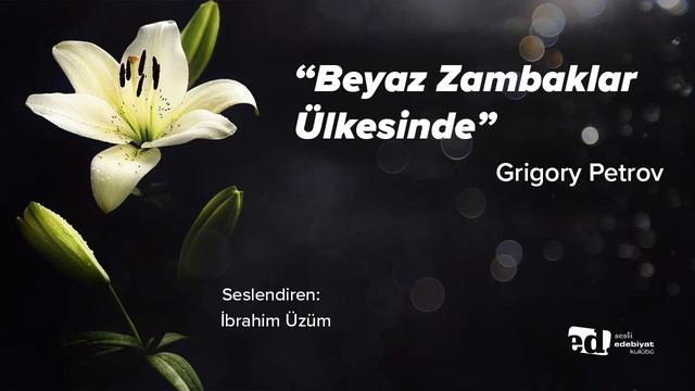 Beyaz Zambaklar Ülkesinde Sesli Kitap (Fon Müziksiz) | Grigory Petrov смотреть онлайн