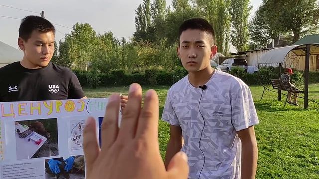 Койдун мээсине операция кылат || Айлампаш болгон кой болсо ушуларга чалыныз смотреть онлайн