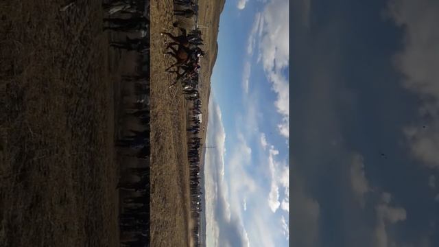 Чадаана 2018