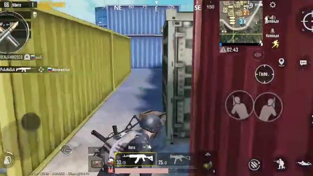 Крысы меня достали