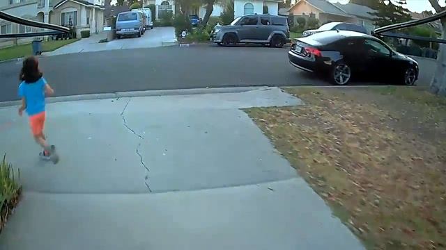 Drone fun chasing Aria 9-1-2020