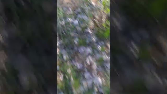 прогулка на велосипеде