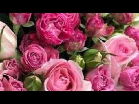 Ещё одно заявление. Интервью для газеты. смотреть онлайн