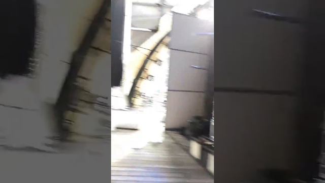 Зеленая Гура смотреть онлайн