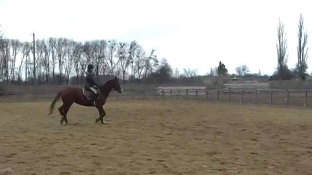 Троя тренировка смотреть онлайн