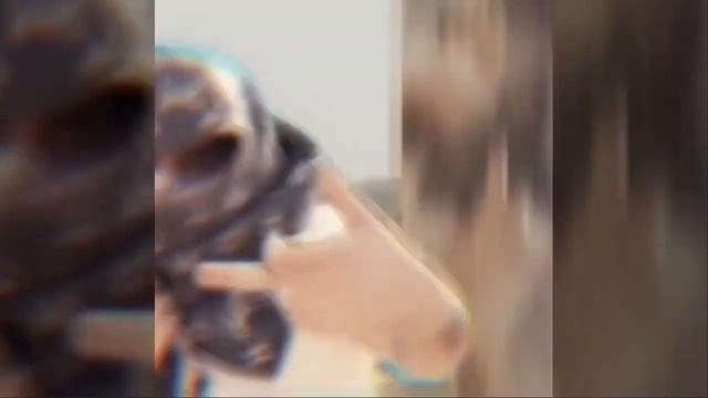 FEOFILOV Bottega Veneta(official video-clip)