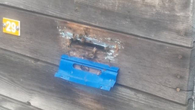 Канадські шестирамочники, заселені шестирамочники Фадєєва, батьківські сімї і інше про Бакфаст. смотреть онлайн