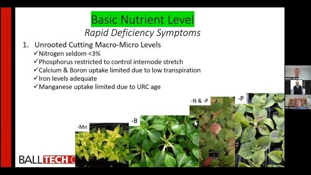 Optimize Rooting Uniformity (Part 5): Basic Nutrient Level смотреть онлайн