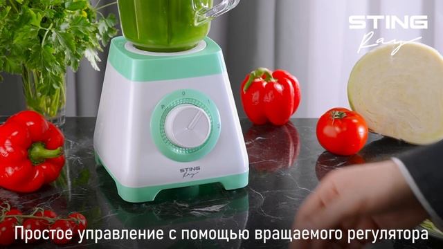 Стационарный блендер STINGRAY ST-KP2201A