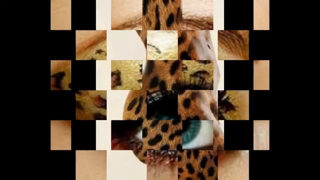 Leopard-fast as a wind / Леопард-быстрый как ветер смотреть онлайн