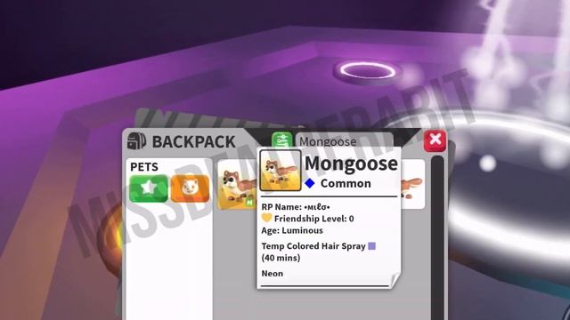 Let’s make a mega mongoose! | adopt me | preppy | MissDeaTheRabit 🌸🍄🫶🏻✨⚡️💖