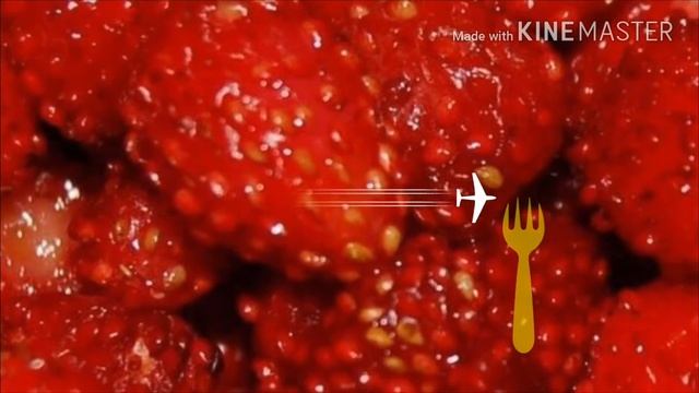 Летние видео смотреть онлайн