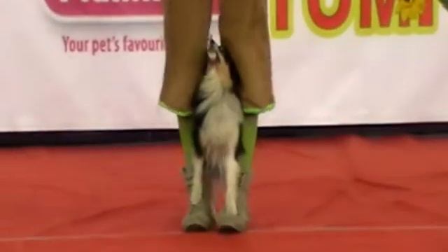 Арина и Чита