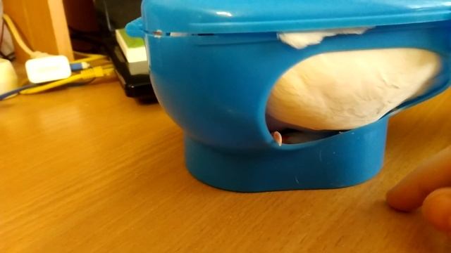 Держатель голубей с алиэкспресс смотреть онлайн