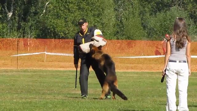 Оберлауф Амбассадор (лобовая) смотреть онлайн