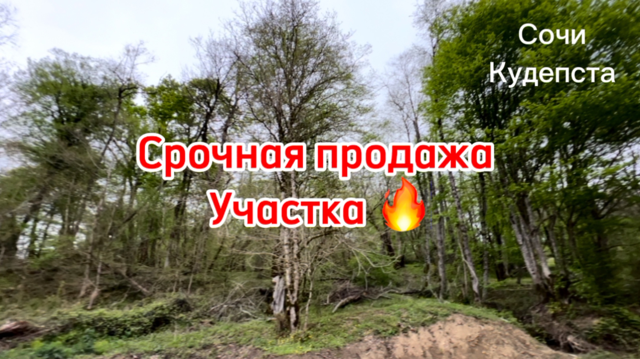 Срочная продажа участка в Сочи ! За эти деньги он идеальный ! смотреть онлайн