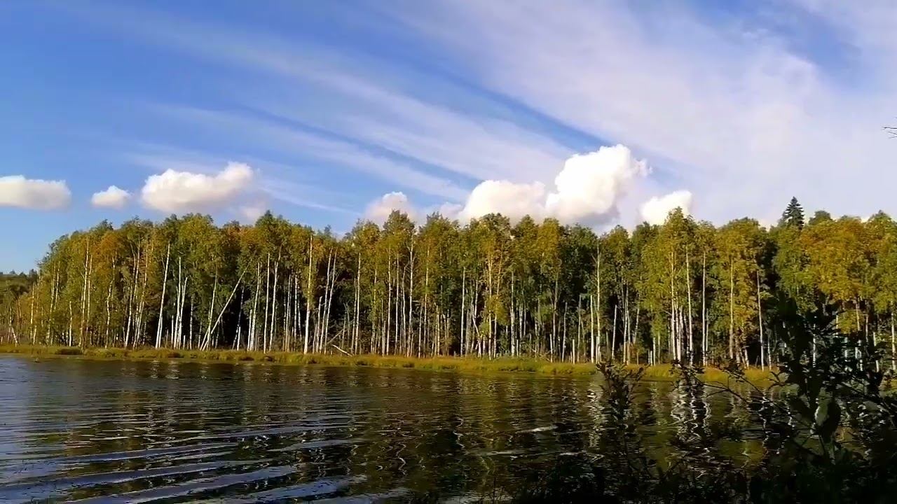 Природа Республики Коми
