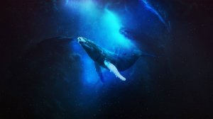 Дыхание (песня гр Наутилус ) кавер