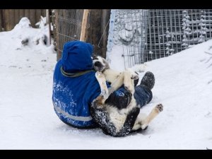 Ни за что не догадаетесь кого нас попросили спасти. Часть 6