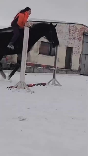 конкур бес седла ❤ смотреть онлайн