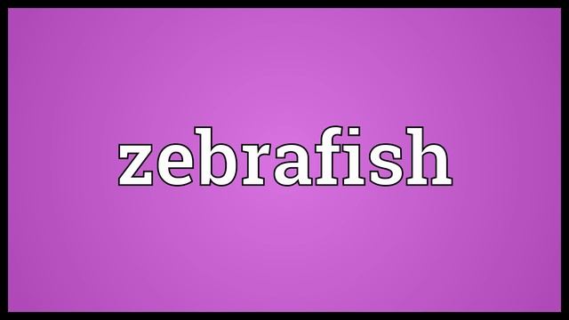 Zebrafish Meaning смотреть онлайн