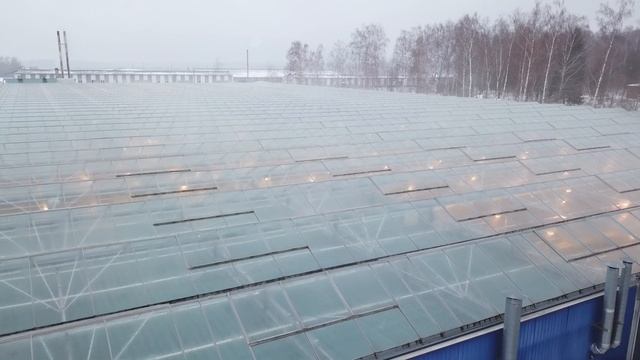 Теплицы Роузхилл смотреть онлайн