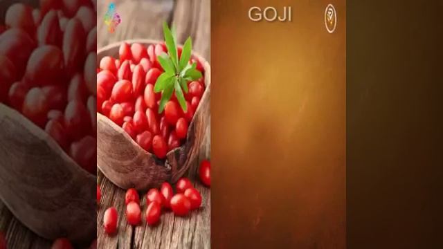Informacion del vesta 👍🏻 смотреть онлайн