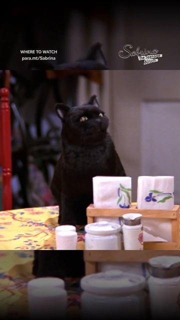 It's not the end of the world! #SabrinaTheTeenageWitch Now streaming on Pluto TV #shorts смотреть онлайн