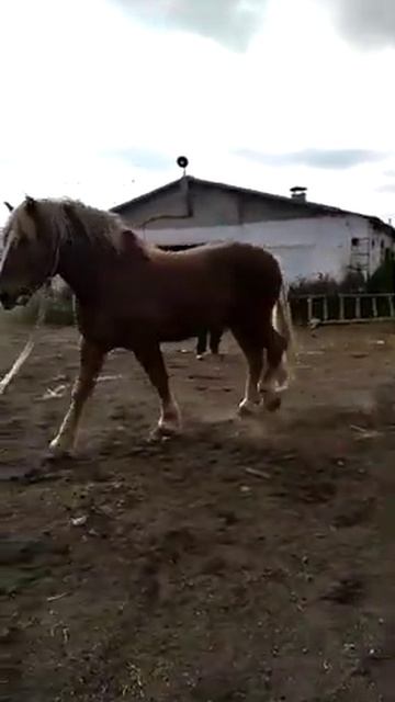 Советский тяжеловоз РЫБАК смотреть онлайн