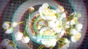ЖЕНСТВЕННОСТЬ*МЕДИТАЦИЯ+САБЛИМИНАЛ