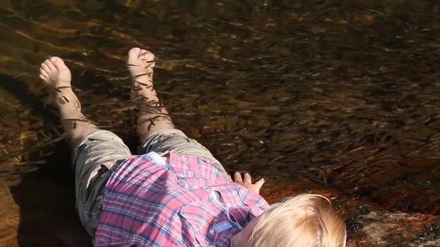 Мальки речной форели в Зуяково смотреть онлайн