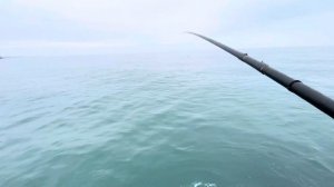 Рыбалка в мае на побережье в Сочи. #fishing #sochi #рыбалка #сочи #seafishing