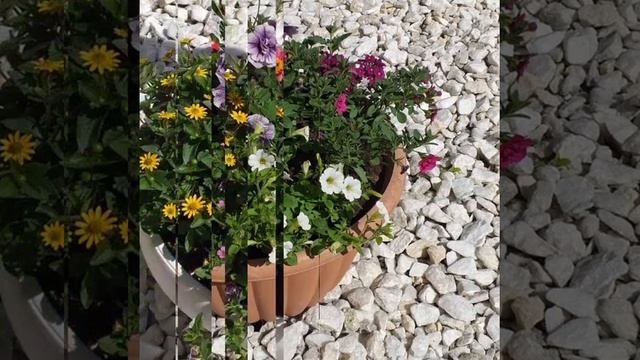 Обзор на три канала! наша жизнь в Германии, Ольга и семья, Будни бабули и деда!